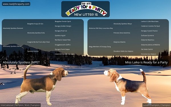 1423133355 7197286157014776 8228591250444195494 n 0