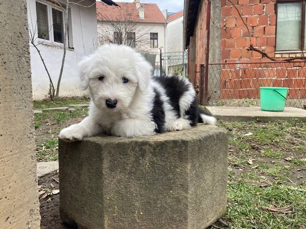 1viber image 2024 02 10 15 56 47 076 0