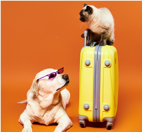 shutterstock 2464396393 Copy